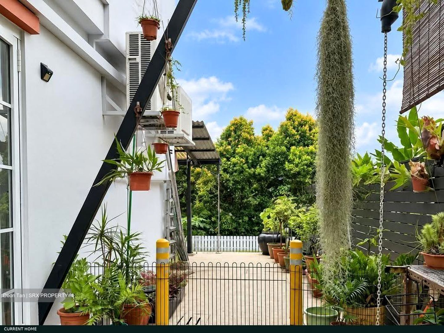 Shamrock Park (D10), Semi-Detached #638172961
